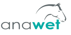 Logotyp firmy Anawet Sp. z o.o.